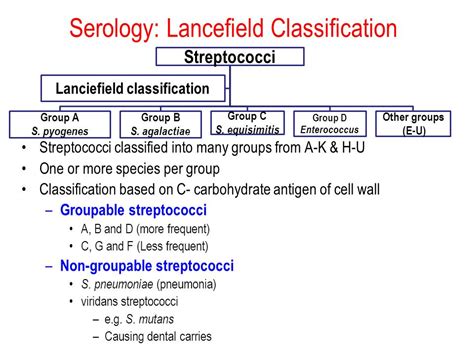 Streptococcus species .